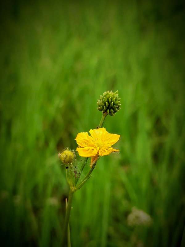 "������� �������" ����� ������  �� PhotoGeek.ru #����� #����� ��������������