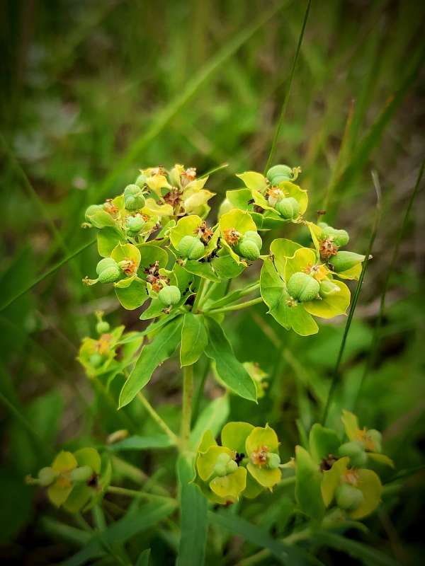 ������� ����� ������  �� PhotoGeek.ru #����� #����� ��������������