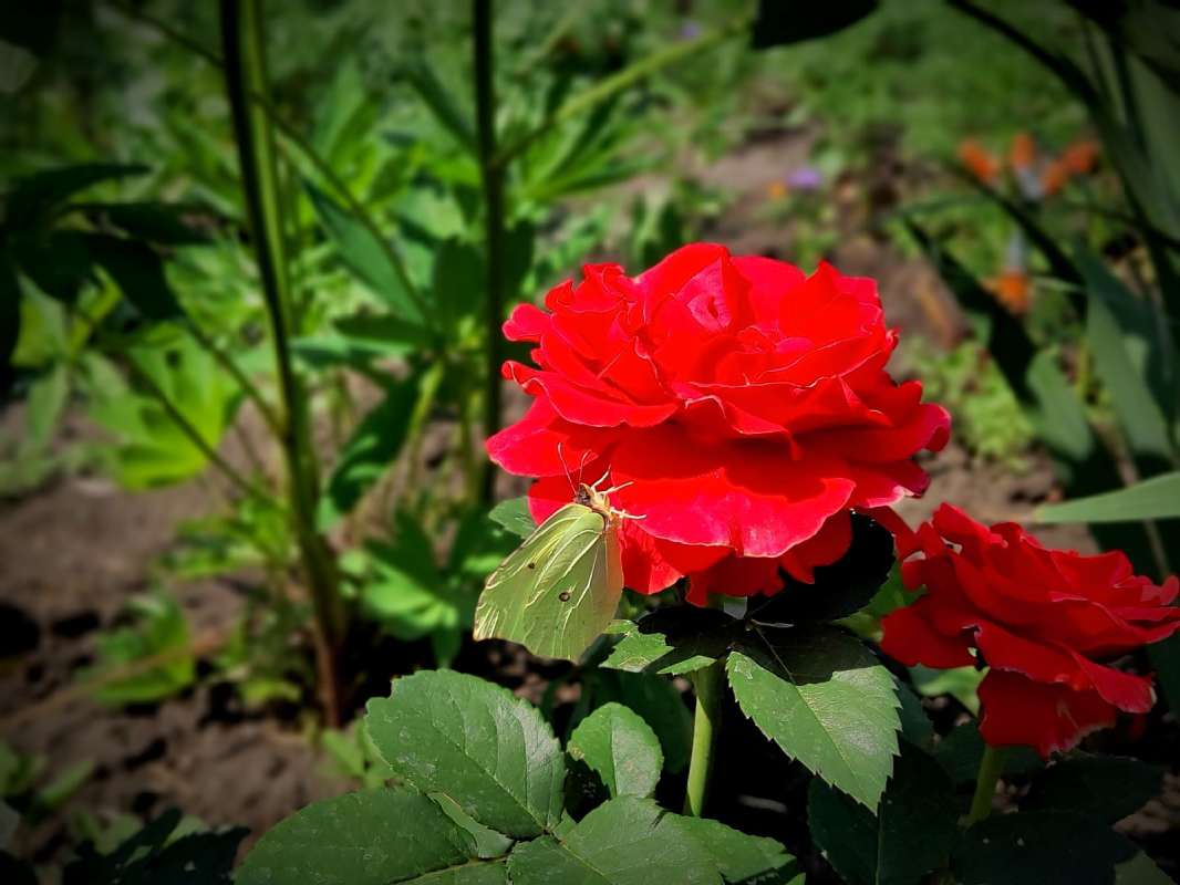 ��������� �� ���� ����� ������  �� PhotoGeek.ru #����� #����� �������������� #���������