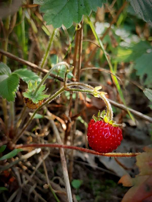 ������ ����� ����� ������  �� PhotoGeek.ru #����� #����� ��������������