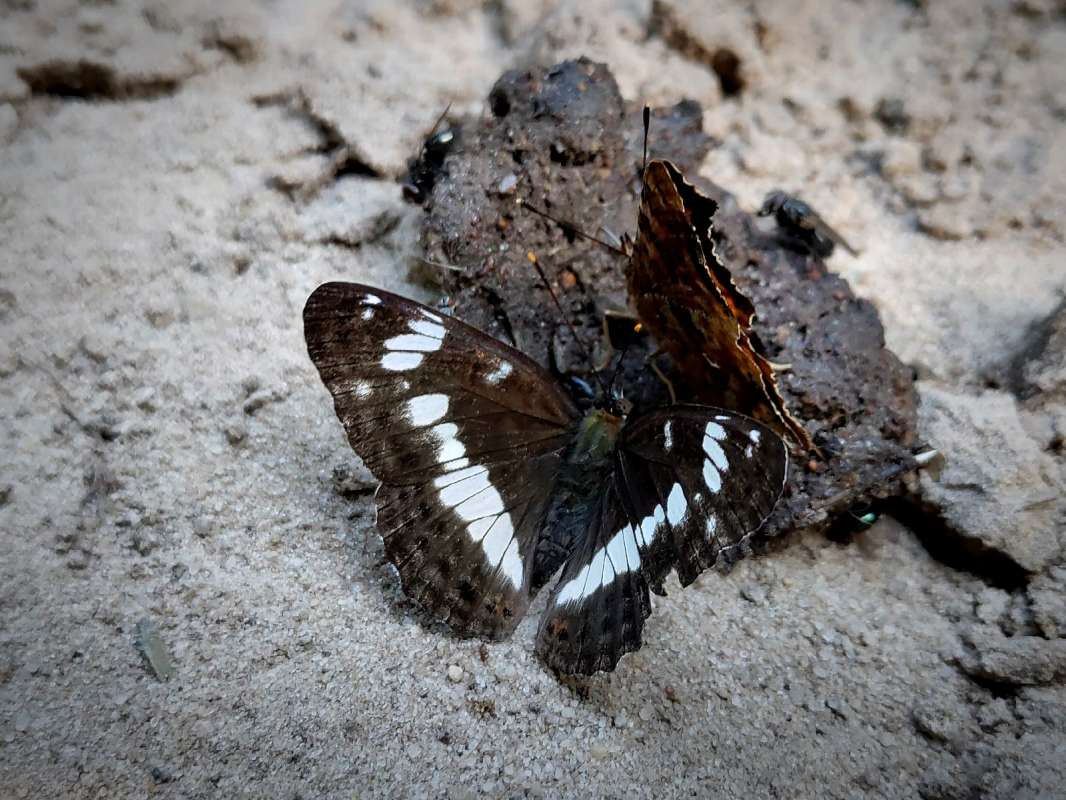 ������� ����� ������  �� PhotoGeek.ru #����� #���������