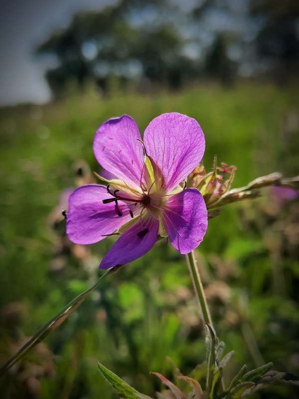 ������� ������ ����� ������  �� PhotoGeek.ru #����� #����� ��������������