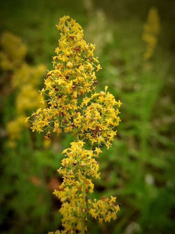 ����������� ����� ������  �� PhotoGeek.ru #����� #����� ��������������