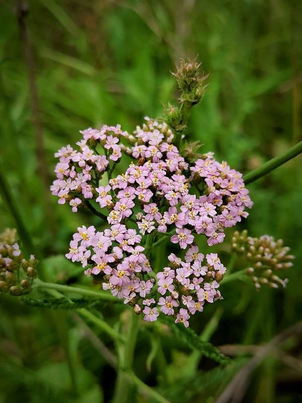 ������� ������� ������������� ����� ������  �� PhotoGeek.ru #����� #����� ��������������