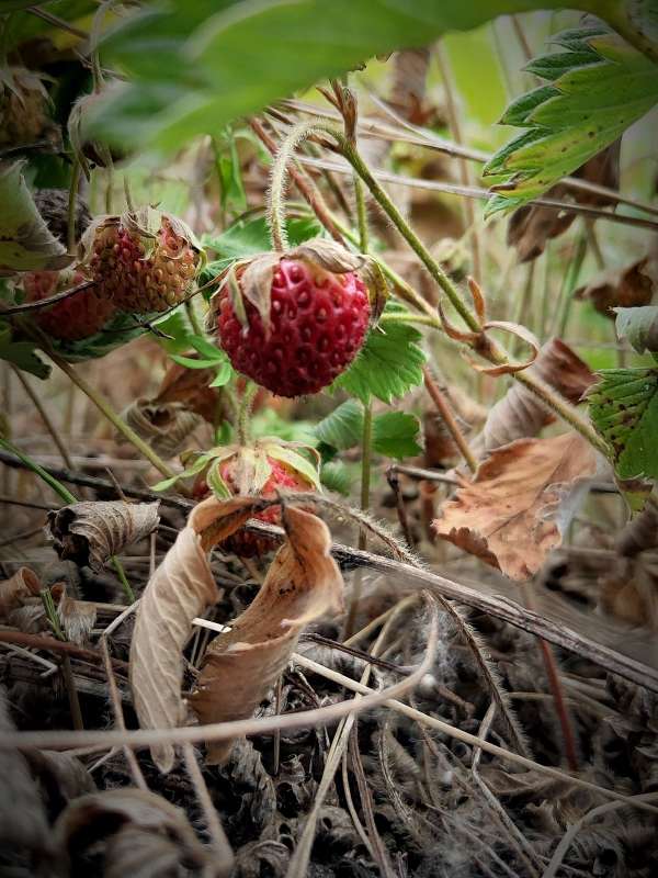 ���� ������� ���� ����� ������  �� PhotoGeek.ru #����� #����� ��������������