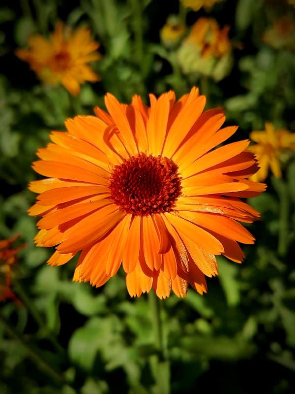 ������ ��������� ����� ������  �� PhotoGeek.ru #����� #����� ��������������