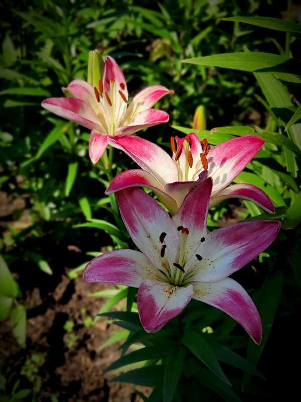 ����� "��������" ����� ������  �� PhotoGeek.ru #����� ��������������