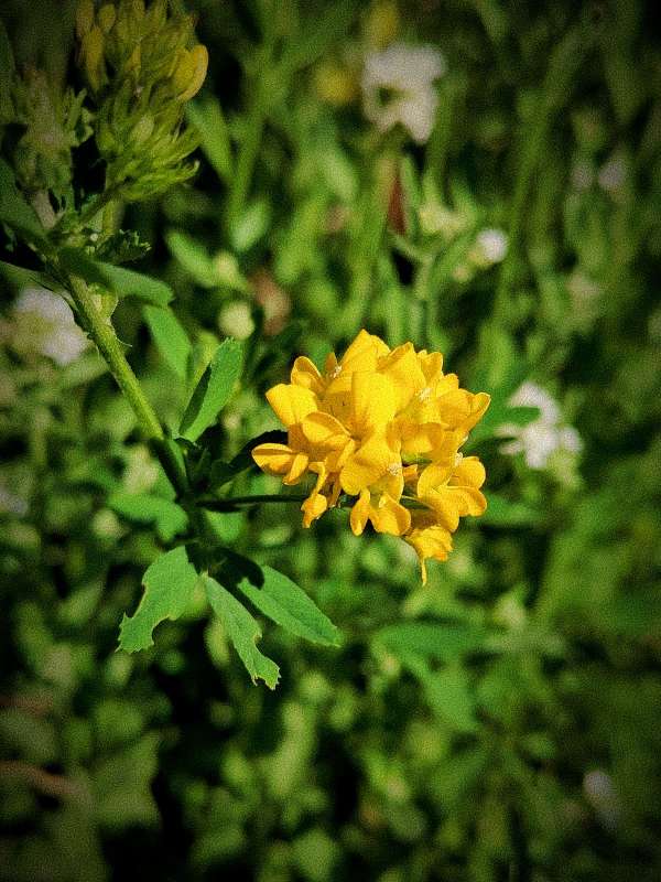 ������� ����� ������  �� PhotoGeek.ru #����� #����� ��������������