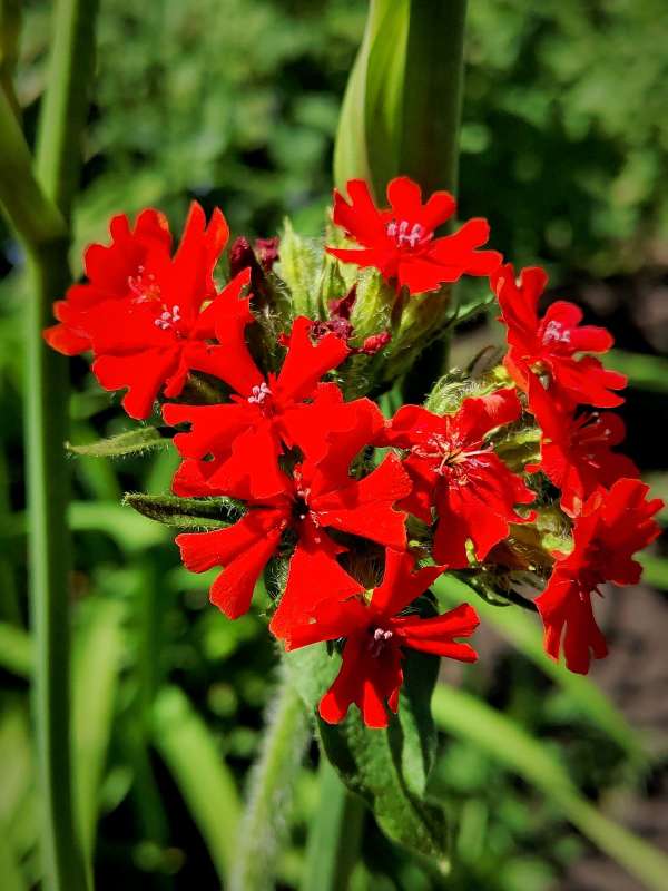 ������ ������� ����� ������  �� PhotoGeek.ru #����� #����� ��������������