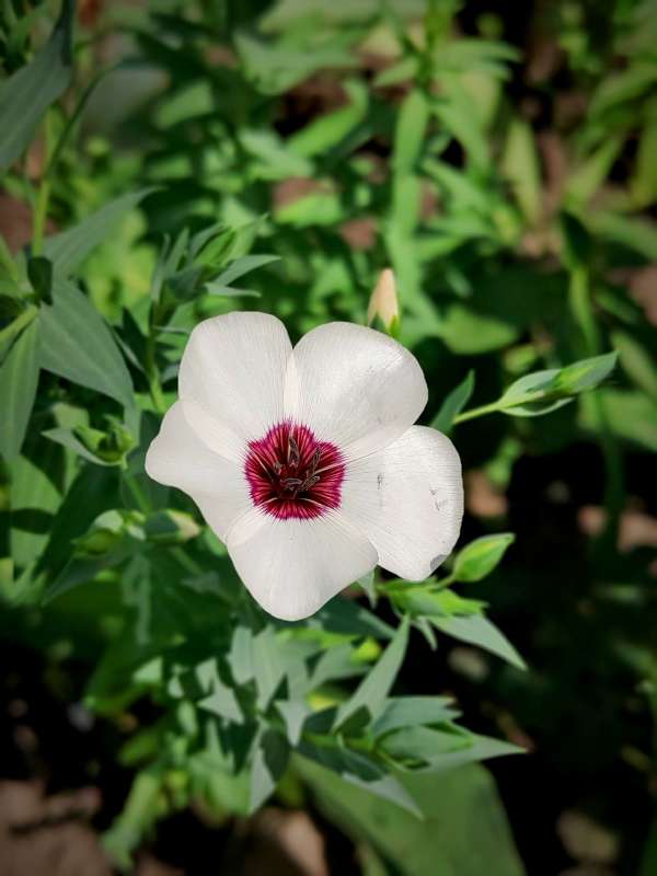 ��� ������� ����� ������  �� PhotoGeek.ru #����� #����� ��������������