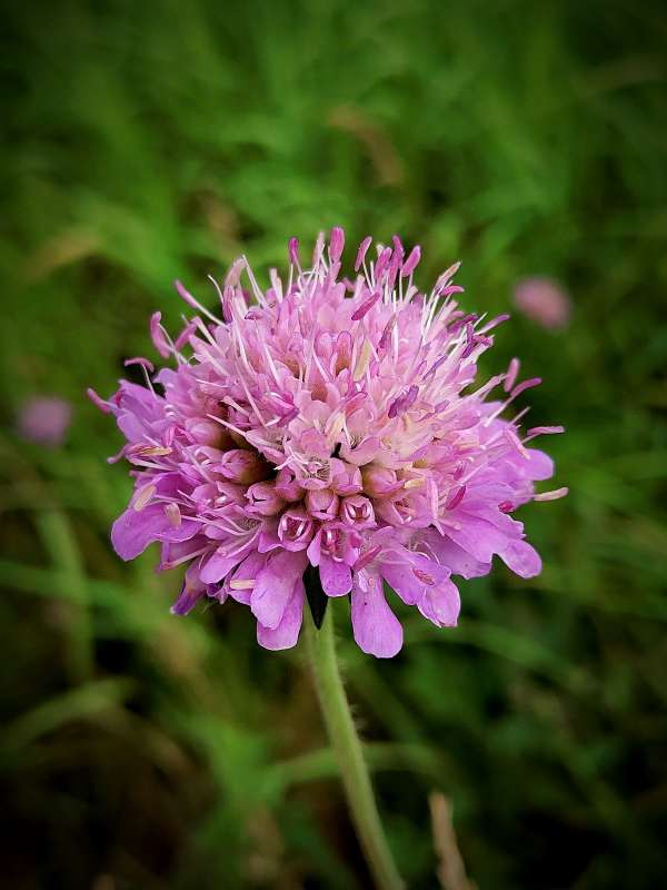 �������� ����� ������  �� PhotoGeek.ru #����� #����� ��������������