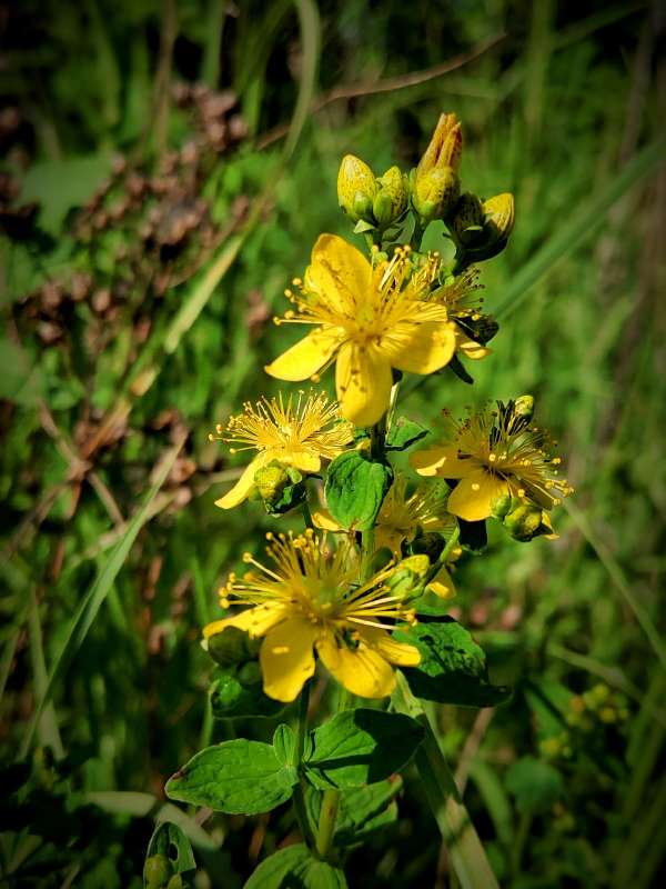 �������� - �������� ����� ����� ������  �� PhotoGeek.ru #����� #����� ��������������