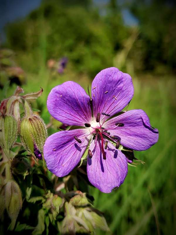 ������� �������� - ������ ����� ������  �� PhotoGeek.ru #����� #����� ��������������