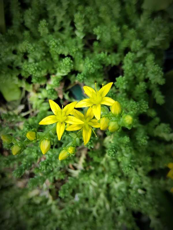 ������ ����� ������  �� PhotoGeek.ru #����� #����� ��������������