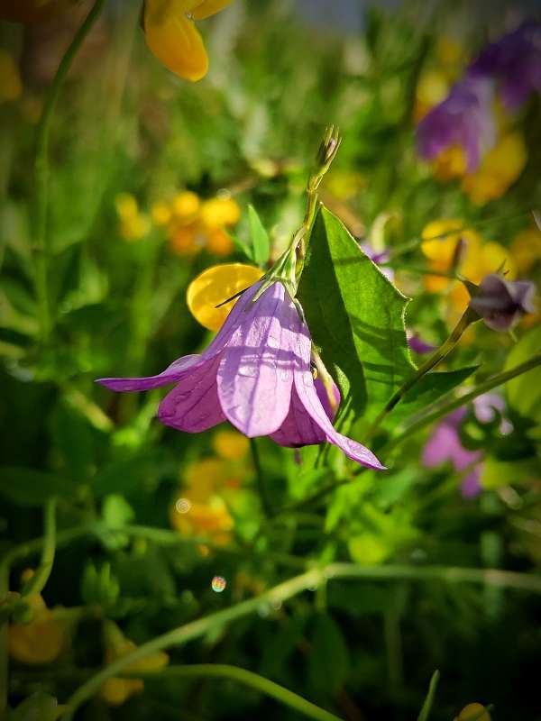 ����������� ������� ����� ������  �� PhotoGeek.ru #����� #����� ��������������