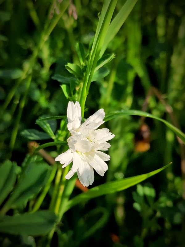 ������� ���������� ����� ������  �� PhotoGeek.ru #����� #����� ��������������