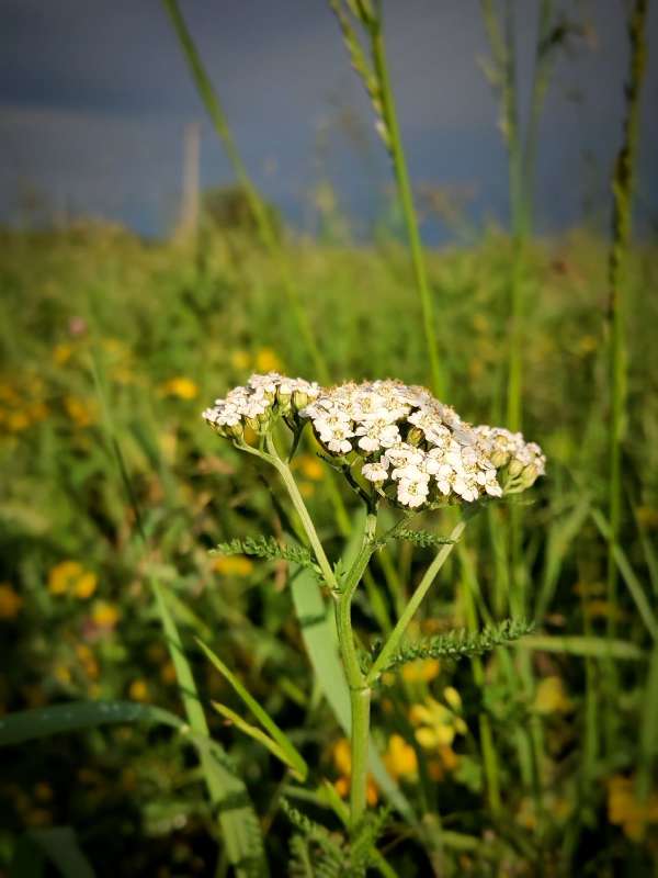 ������������� ����� ������  �� PhotoGeek.ru #����� #����� ��������������