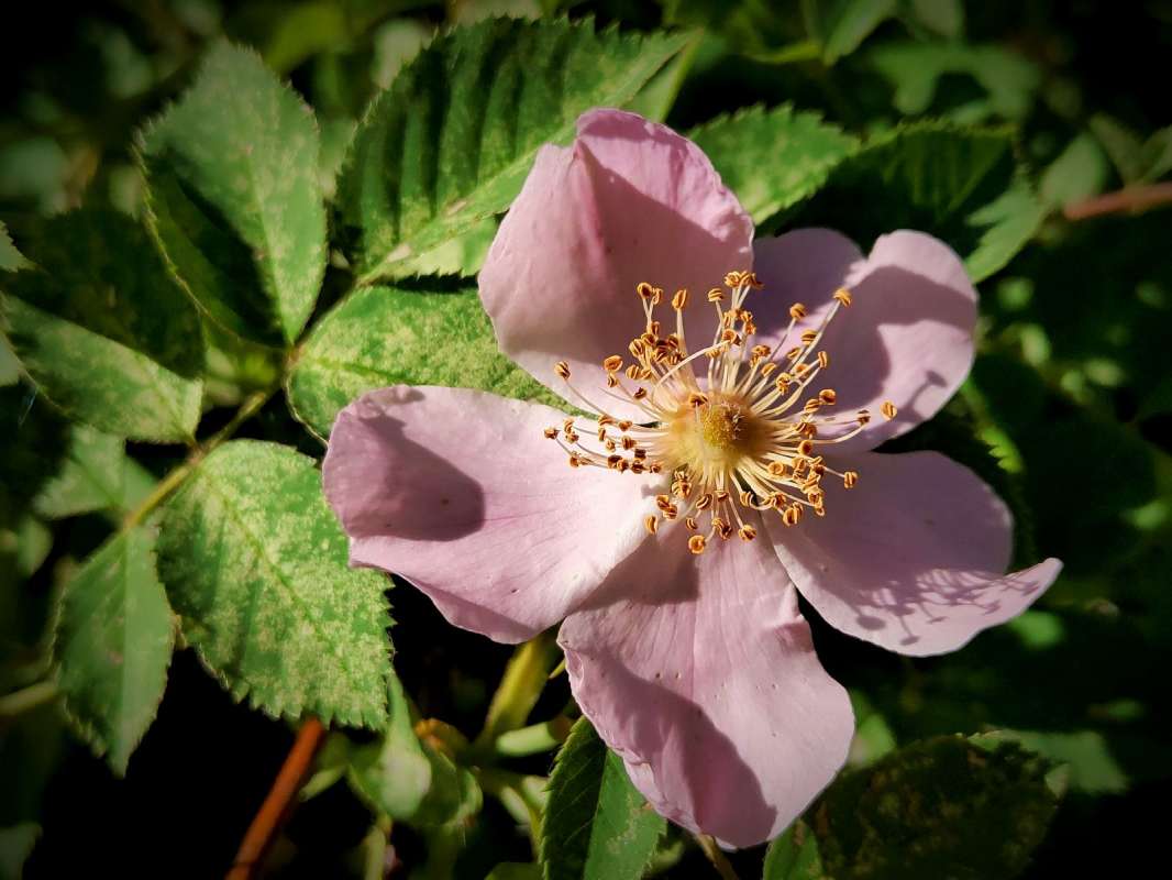 �������� ����� ������  �� PhotoGeek.ru #����� #����� ��������������