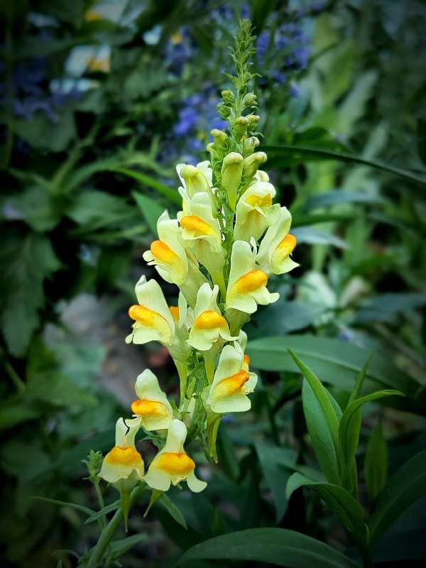 ������� ����� ������  �� PhotoGeek.ru #����� #����� ��������������