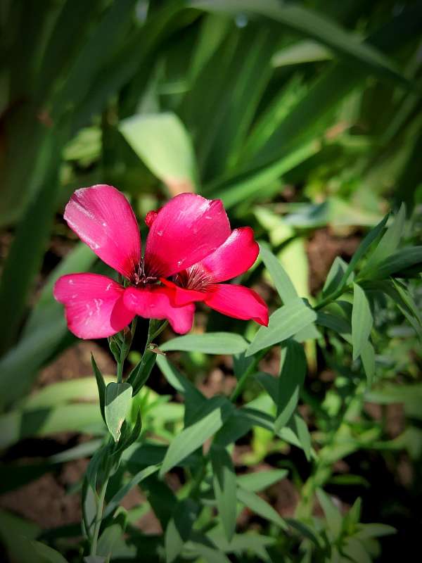 ������� �� ����� ������  �� PhotoGeek.ru #����� #����� ��������������