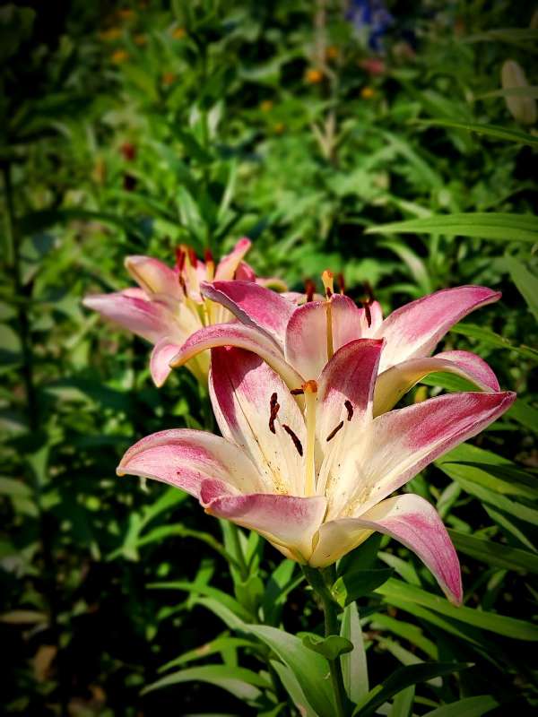 ����� - ������� ����� ����� ������  �� PhotoGeek.ru #����� #����� ��������������