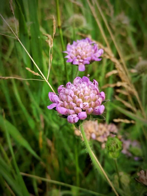 �������� �������� �� ���� ����� ������  �� PhotoGeek.ru #����� #����� ��������������