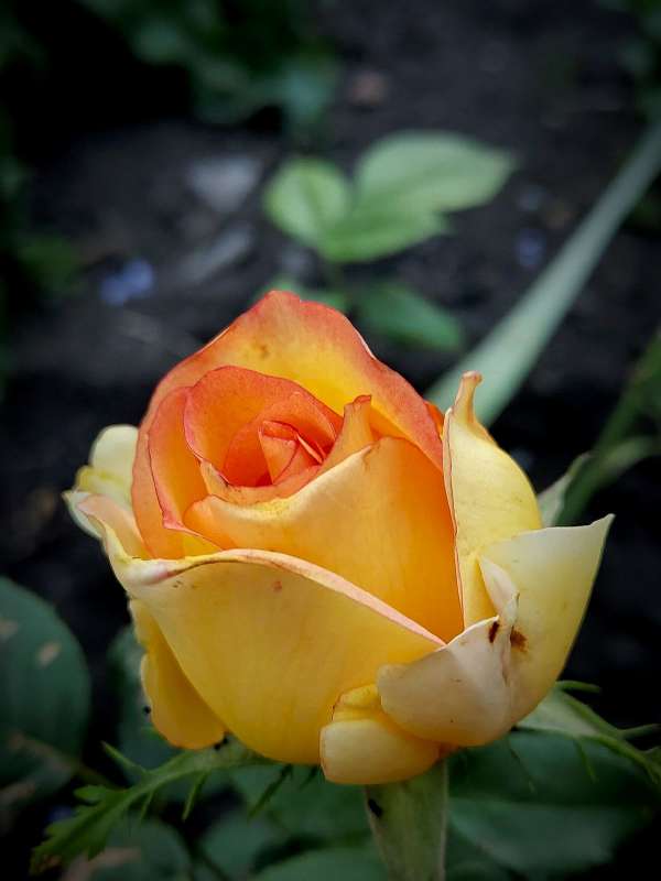 ������ ���� ����� ������  �� PhotoGeek.ru #����� #����� ��������������