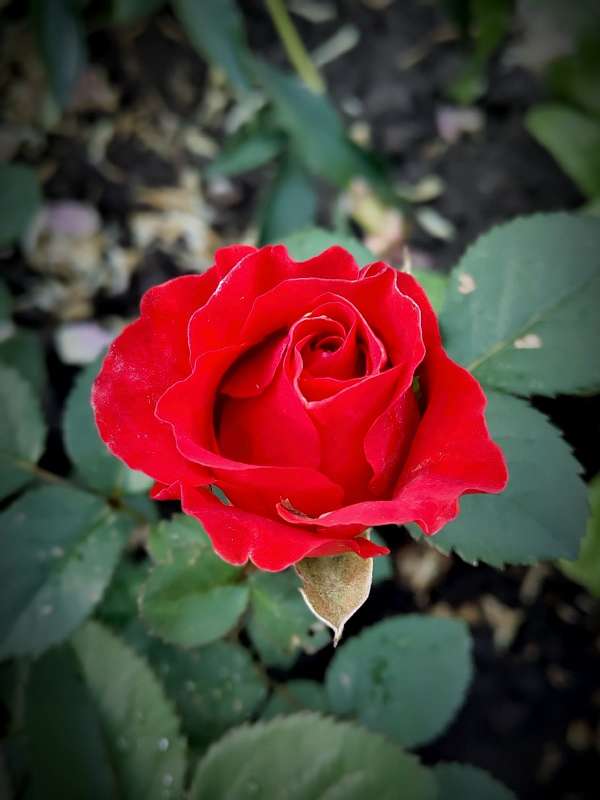 ���� �������� ����� ������  �� PhotoGeek.ru #����� #����� ��������������