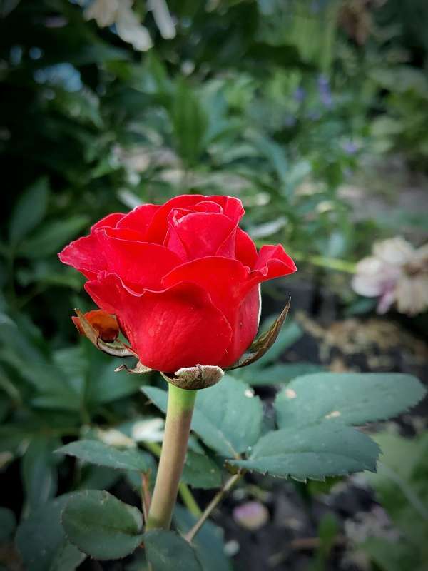 ���� ������� ����� ������  �� PhotoGeek.ru #����� #����� ��������������