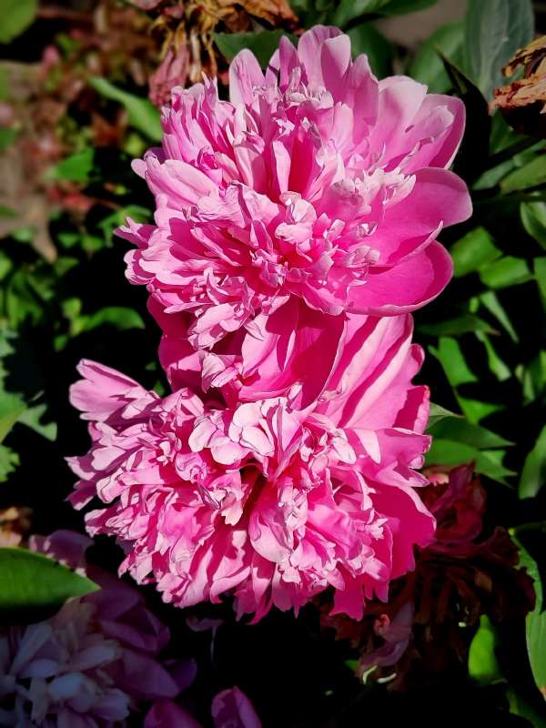 ����� ����� ������  �� PhotoGeek.ru #����� #����� ��������������