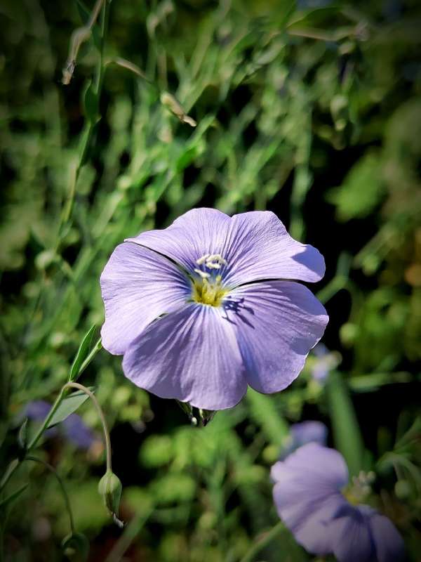 ����� ����� ������  �� PhotoGeek.ru #����� #����� ��������������