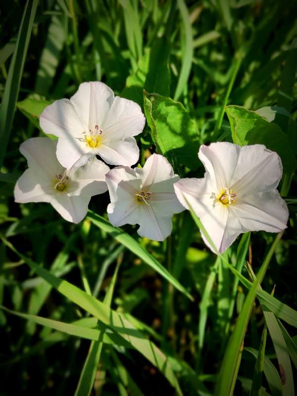 ������� �������� ������ ����� ������  �� PhotoGeek.ru #����� #����� ��������������