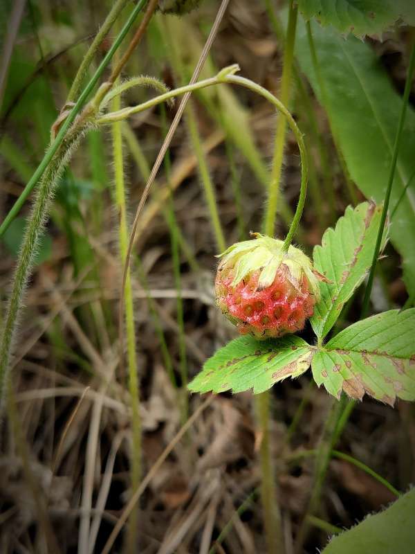 ������ �������� ����� ������  �� PhotoGeek.ru #����� #����� ��������������