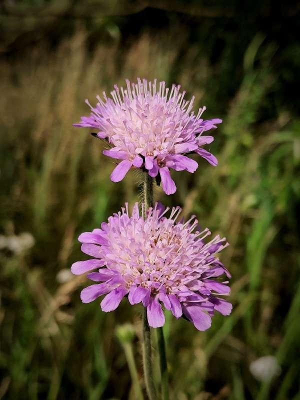 �������� ����� ������  �� PhotoGeek.ru #����� #����� ��������������