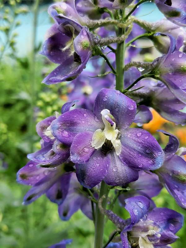 ������ ����������� ����� ������  �� PhotoGeek.ru #����� #����� ��������������