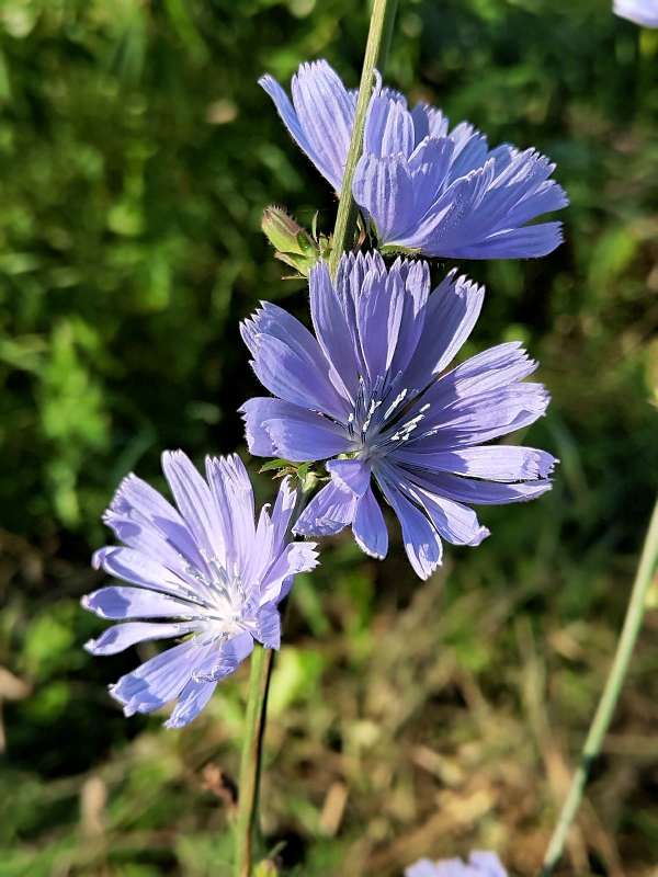 ���� ������� ����� ������  �� PhotoGeek.ru #����� #����� ��������������