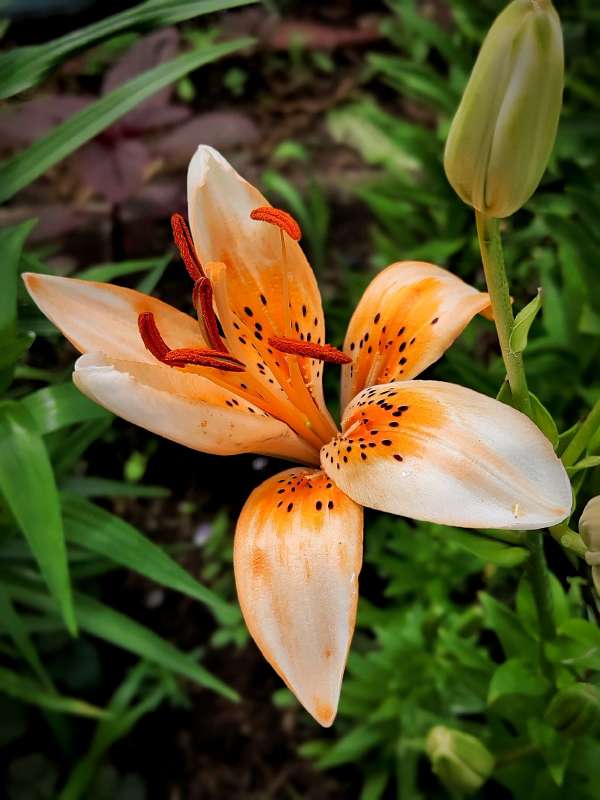 ����� "����� ��������" ����� ������  �� PhotoGeek.ru #����� #����� ��������������