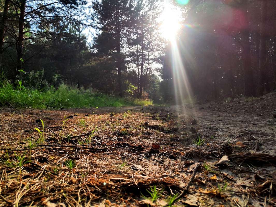 ��������� ��� ����� ������  �� PhotoGeek.ru #������ ��� �������