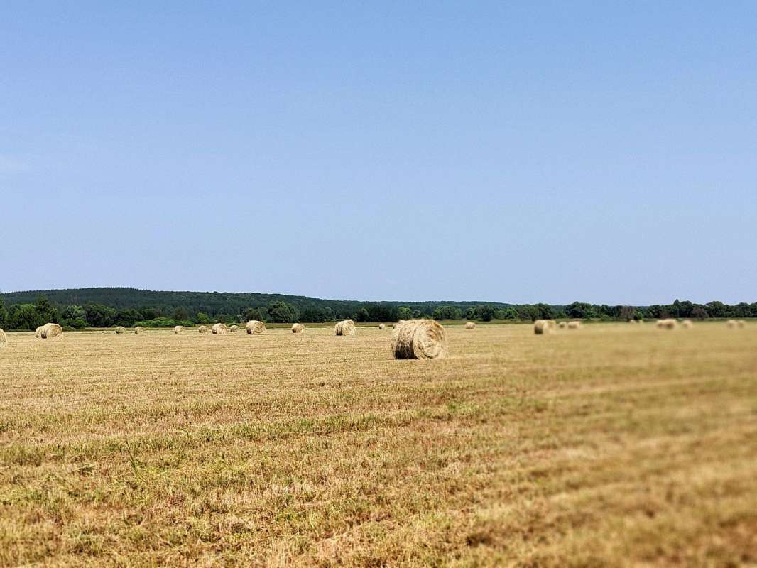 ������ ����� ������  �� PhotoGeek.ru #������ ��� �������