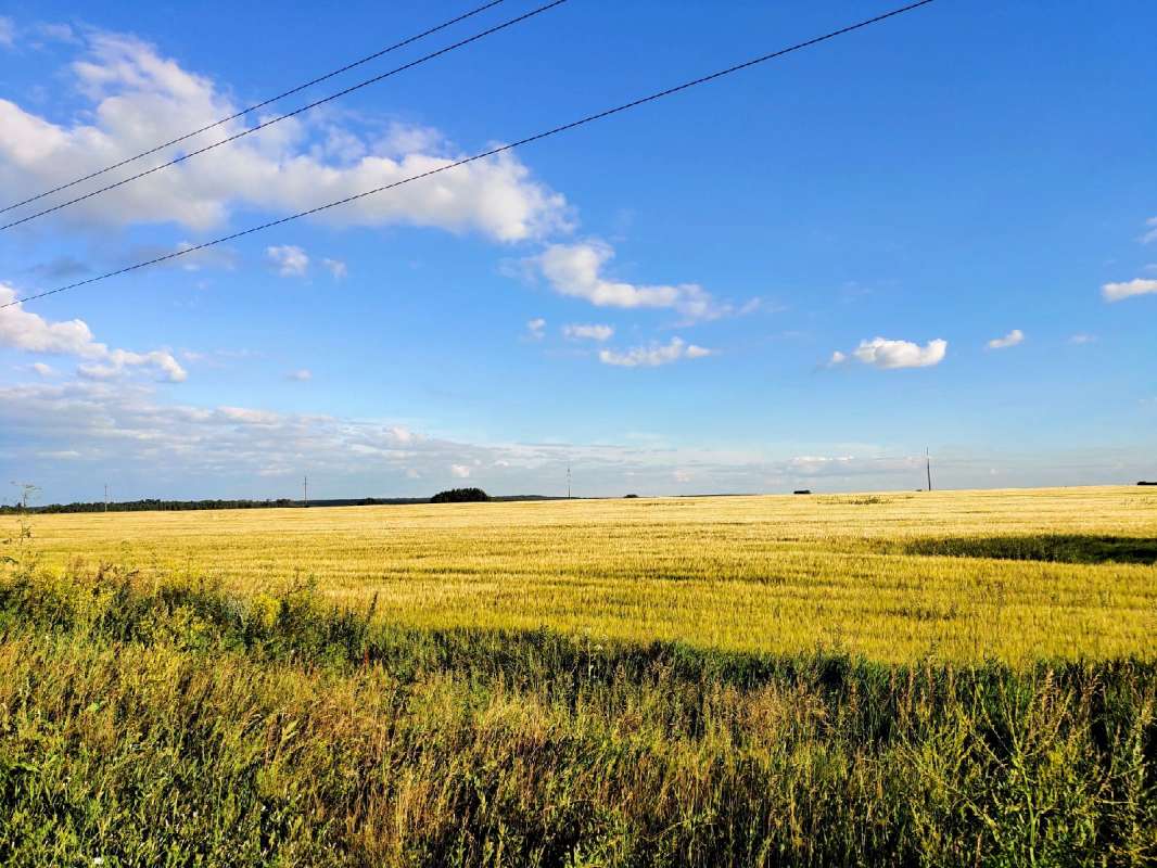 ���� ����� ������  �� PhotoGeek.ru #������ ��� �������