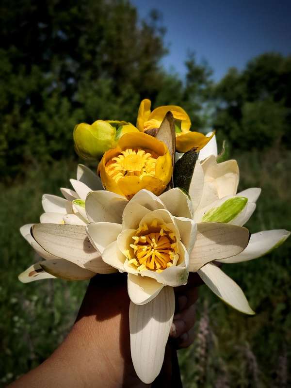 ������� ������� ����� ������  �� PhotoGeek.ru #����� #����� ��������������