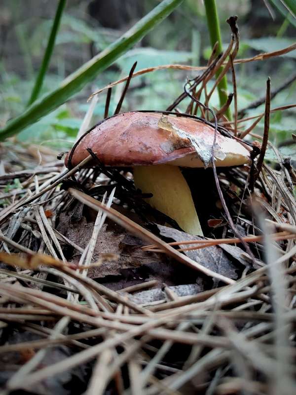 ������� ����� ������  �� PhotoGeek.ru #����� #����� ��������������