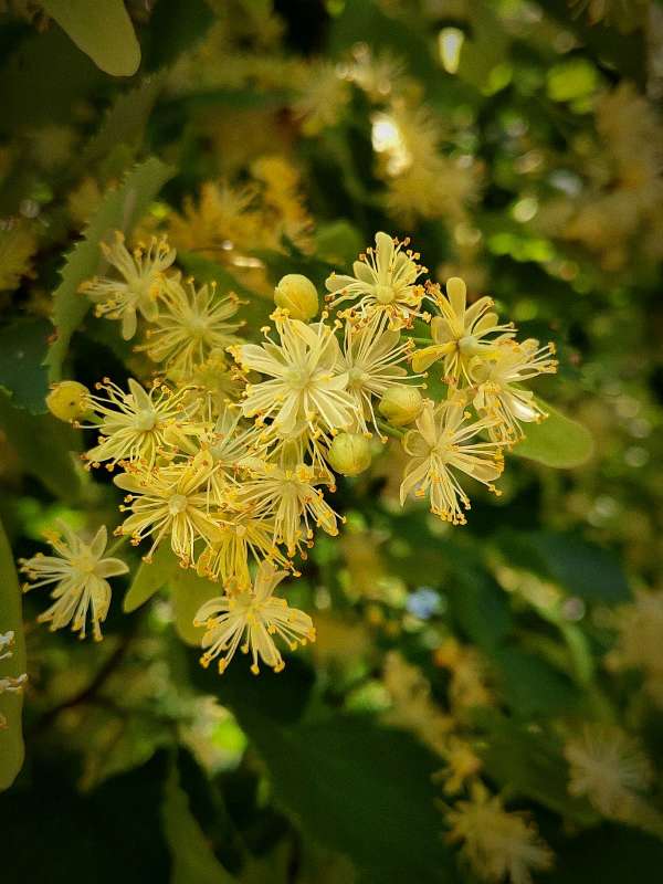 ���� ��������� ����� ������  �� PhotoGeek.ru #����� #����� ��������������