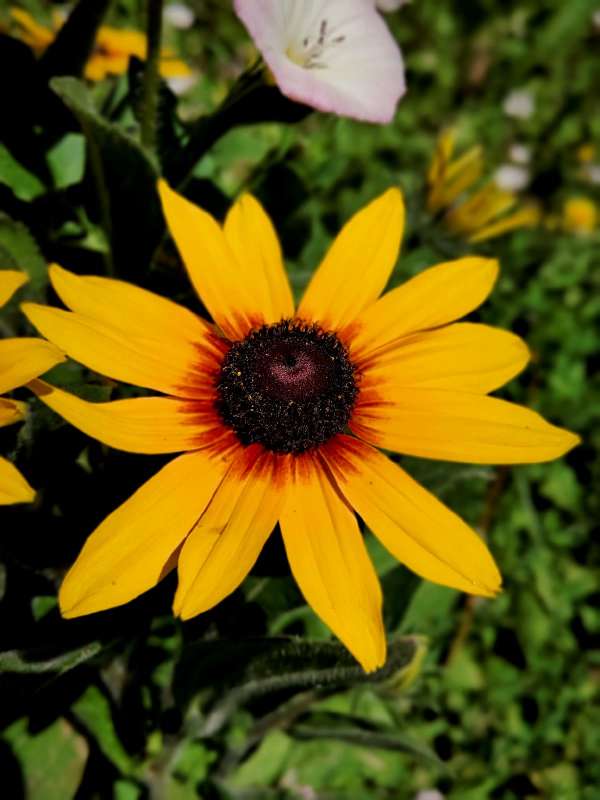 �������� - �������� �� ������ ����� ������  �� PhotoGeek.ru #����� #����� ��������������