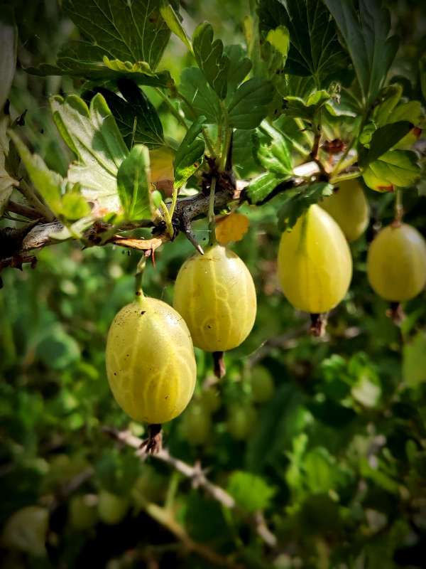 ��������� ����� ������  �� PhotoGeek.ru #����� #����� ��������������