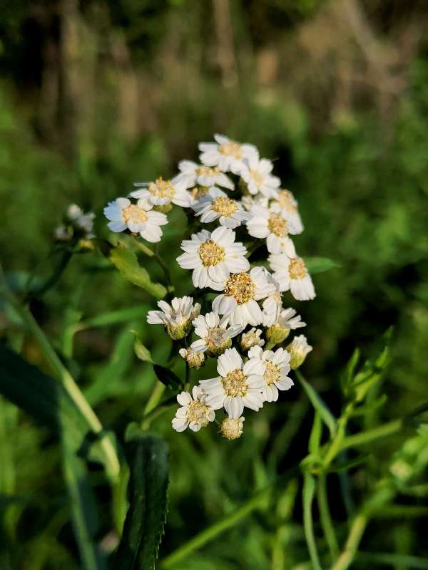 ������� ����� ����� ������  �� PhotoGeek.ru #����� #����� ��������������