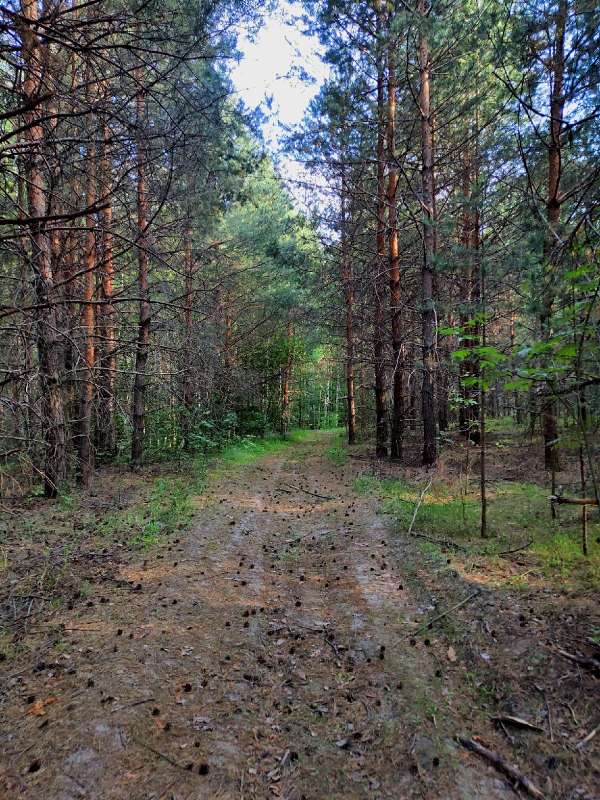 � ������ ���� ����� ������  �� PhotoGeek.ru #������ ��� ������� #����� ��������������