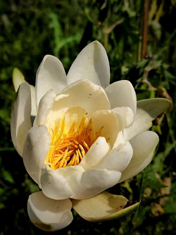 ����� �������� ����� ������  �� PhotoGeek.ru #����� #����� ��������������