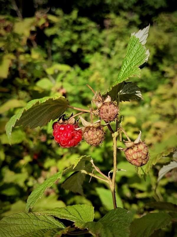 ����� ������ ����� ������  �� PhotoGeek.ru #����� #����� ��������������