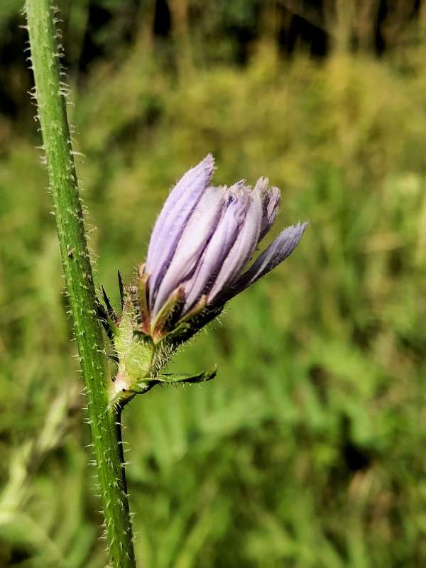 ����� ������� ����� ������  �� PhotoGeek.ru #����� #����� ��������������